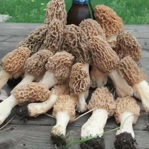 Meet your Posher, Brent